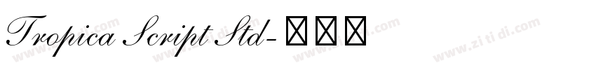 Tropica Script Std字体转换
